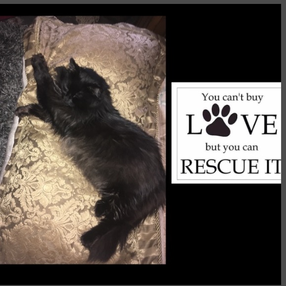 🍭H🍒PpY P🍒SHinG🍭L💝VE IS🍭Unconditional💋 - Picture 4 of 8